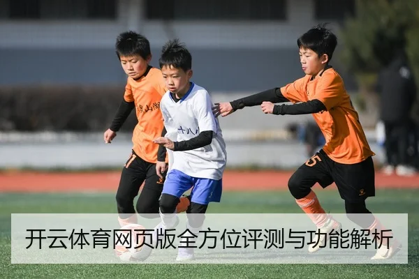 开云体育网页版全方位评测与功能解析